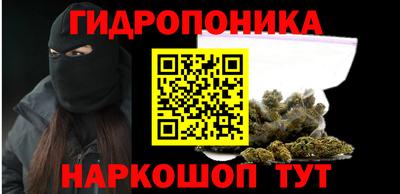 индика Кунгур