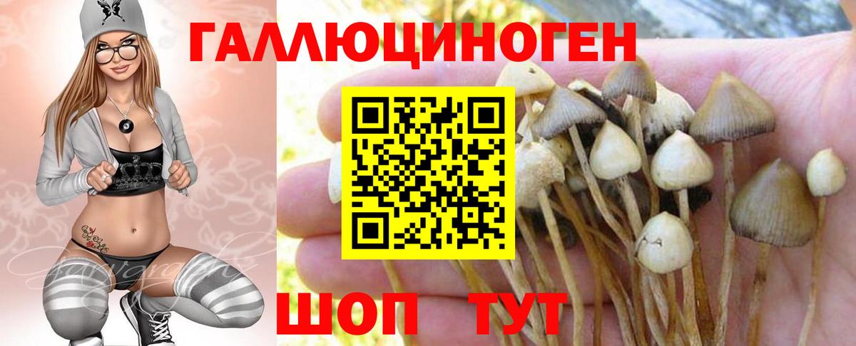Галлюциногенные грибы Psilocybine cubensis Ишимбай