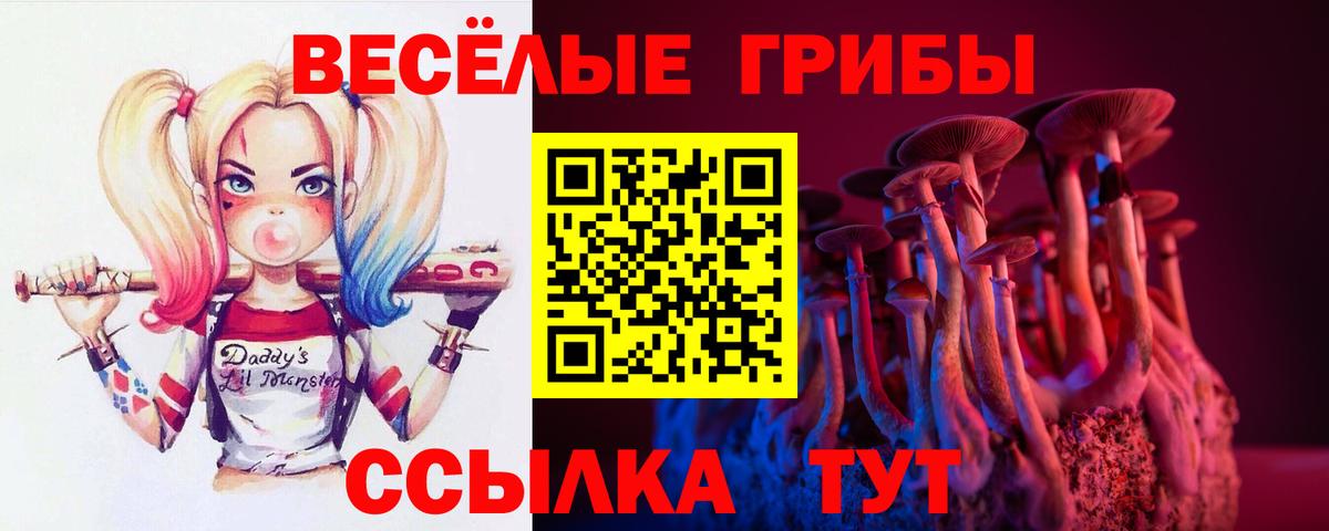 Псилоцибиновые грибы Psilocybine cubensis  Вход с VPN  где купить наркотик  Ишимбай 